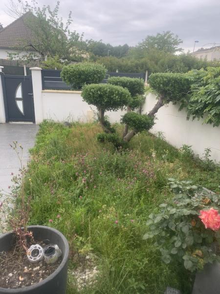 Jardin et entretien à Bordeaux | JOSEPH CLEAN SERVICE