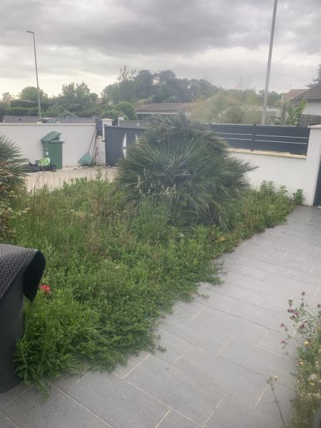 Jardinage à Bordeaux 